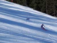 Descente ski slalom