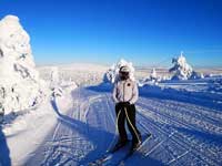 Coupe du monde ski, Amandine Thomas